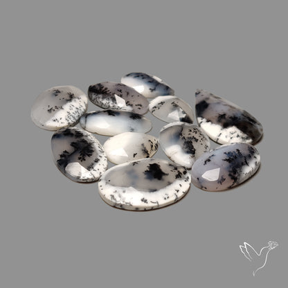 Rose Cut Dendritic Agate Lot