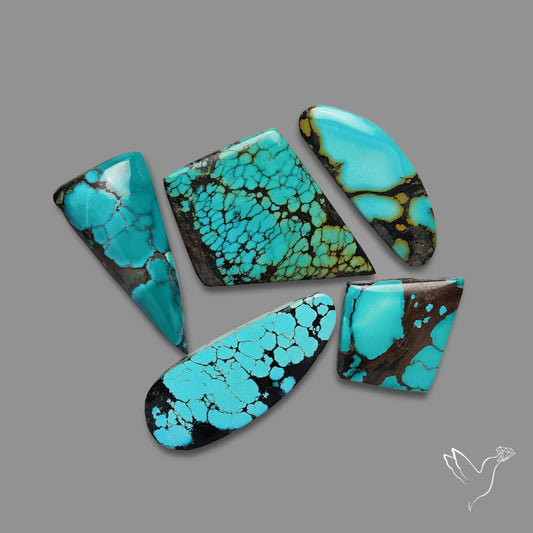 Hubei Turquoise Cabochons Lot