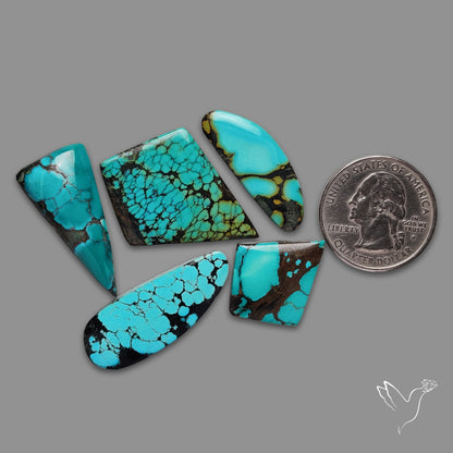Hubei Turquoise Cabochons Lot