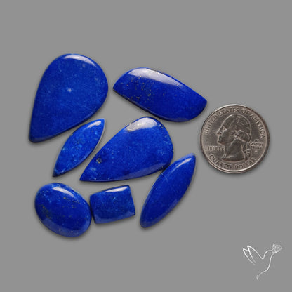 Lapis Lazuli Cabochons Lot