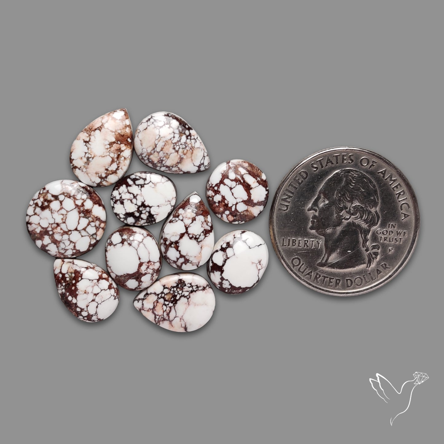 Wild Horse Jasper Cabochons Lot
