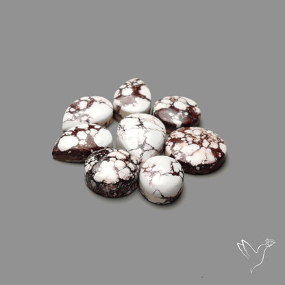 Wild Horse Jasper Cabochons Lot