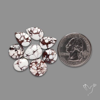 Wild Horse Jasper Cabochons Lot
