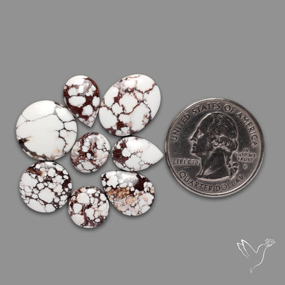 Wild Horse Jasper Cabochons Lot