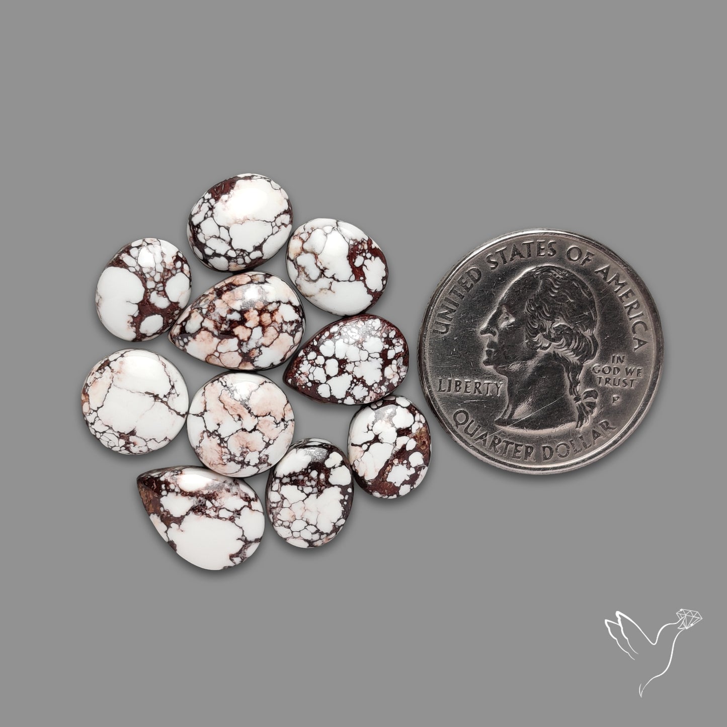 Wild Horse Jasper Cabochons Lot
