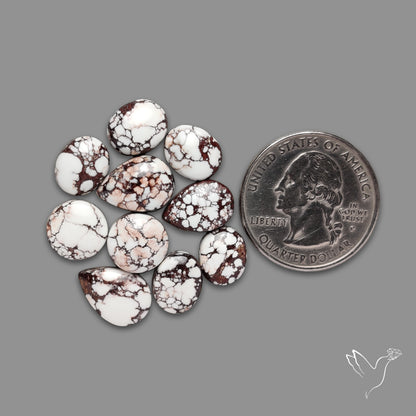 Wild Horse Jasper Cabochons Lot
