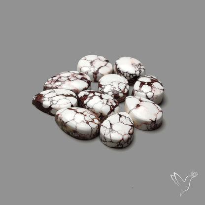 Wild Horse Jasper Cabochons Lot