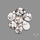 Wild Horse Jasper Cabochons Lot