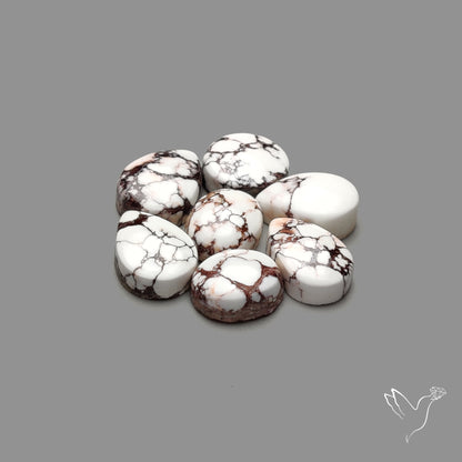 Wild Horse Jasper Cabochons Lot