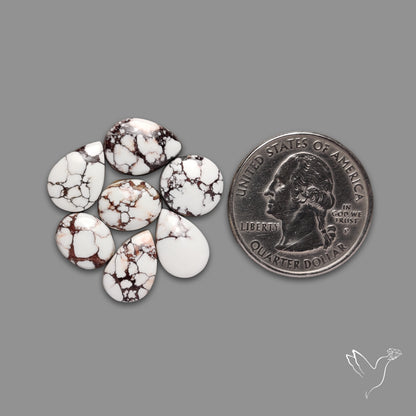 Wild Horse Jasper Cabochons Lot
