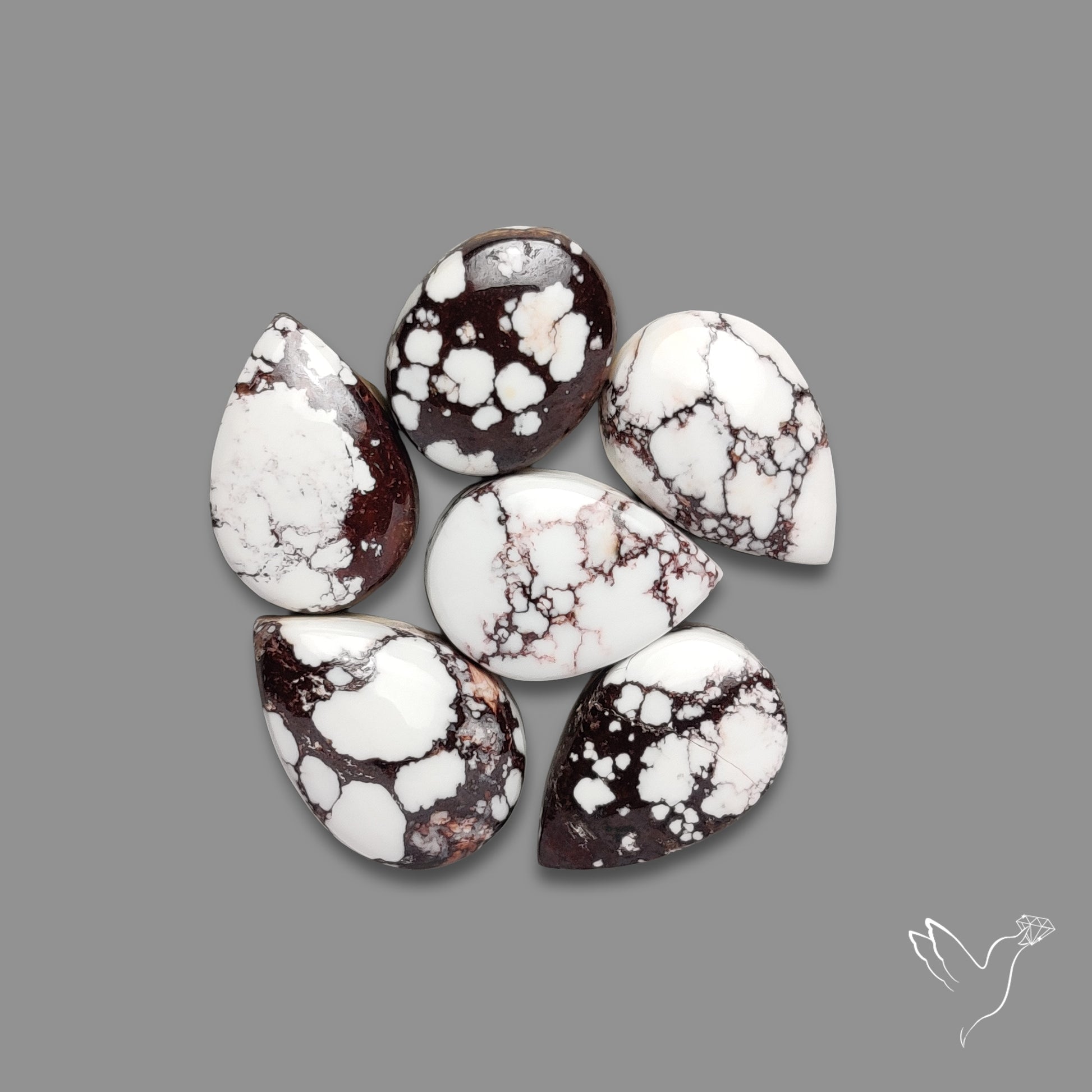 Wild Horse Jasper Cabochons Lot