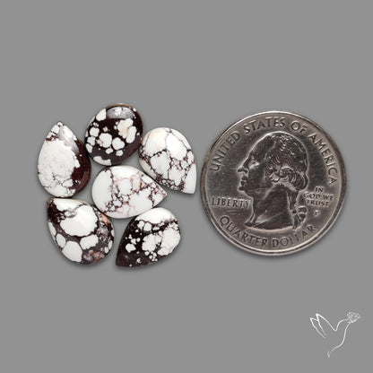 Wild Horse Jasper Cabochons Lot