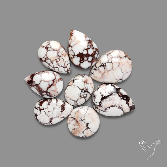 Wild Horse Jasper Cabochons Lot