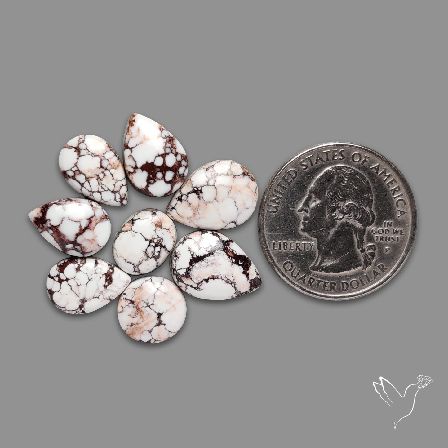 Wild Horse Jasper Cabochons Lot