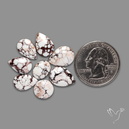 Wild Horse Jasper Cabochons Lot