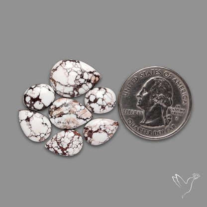 Wild Horse Jasper Cabochons Lot