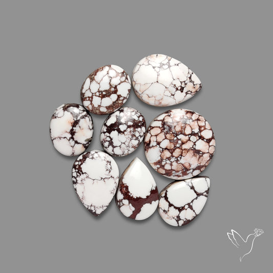 Wild Horse Jasper Cabochons Lot