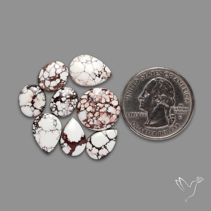 Wild Horse Jasper Cabochons Lot