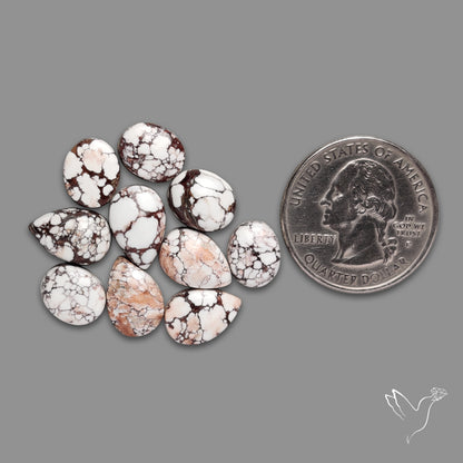 Wild Horse Jasper Cabochons Lot