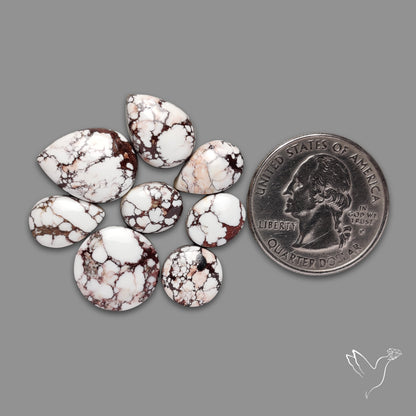Wild Horse Jasper Cabochons Lot