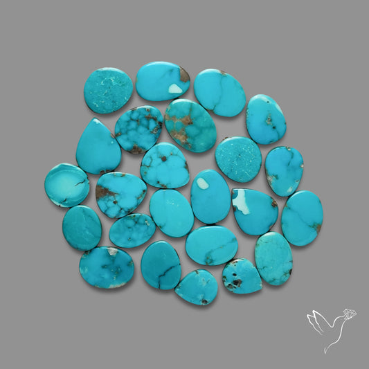Fox Mines Turquoise Pairs Lot