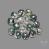 Rose Cut Moss Agate Lot
