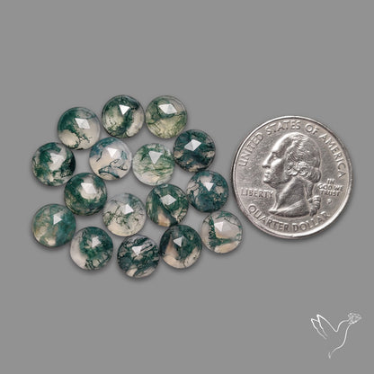 Rose Cut Moss Agate Lot
