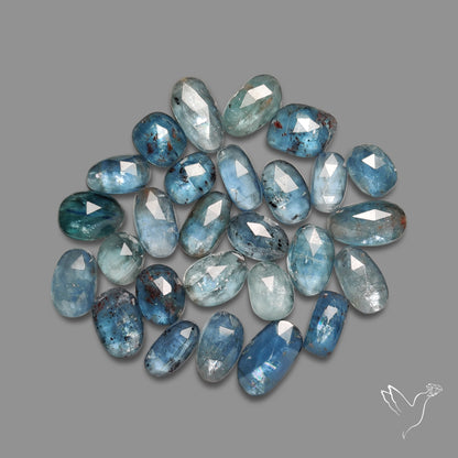 Rose Cut Teal Moss Kyanite Lot
