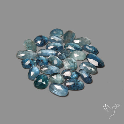 Rose Cut Teal Moss Kyanite Lot
