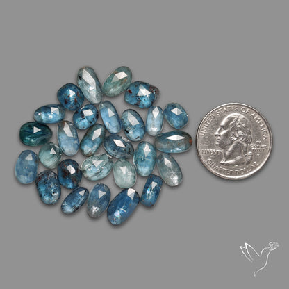 Rose Cut Teal Moss Kyanite Lot