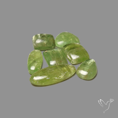 Mint Green Kyanite Cabochons Lot