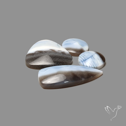 Owyhee Blue Opal Cabochons Lot