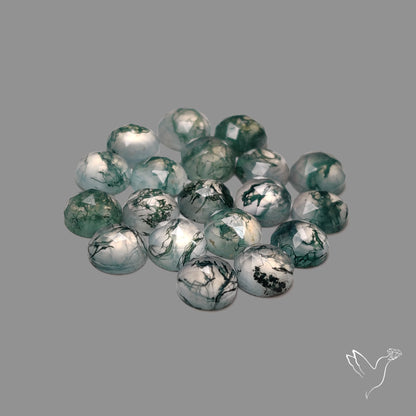 Rose Cut Moss Agate Lot