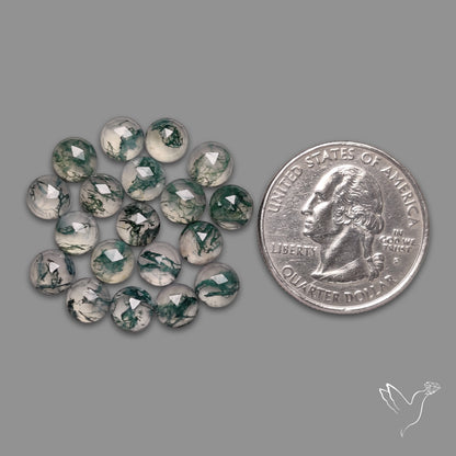 Rose Cut Moss Agate Lot