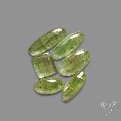 Mint Green Kyanite Cabochons Lot