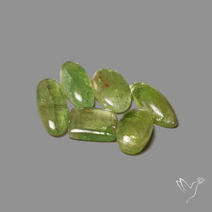 Mint Green Kyanite Cabochons Lot