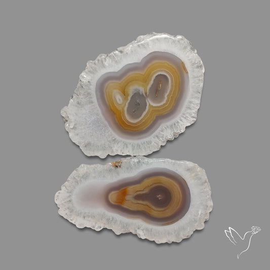 Solar Quartz Slices Lot