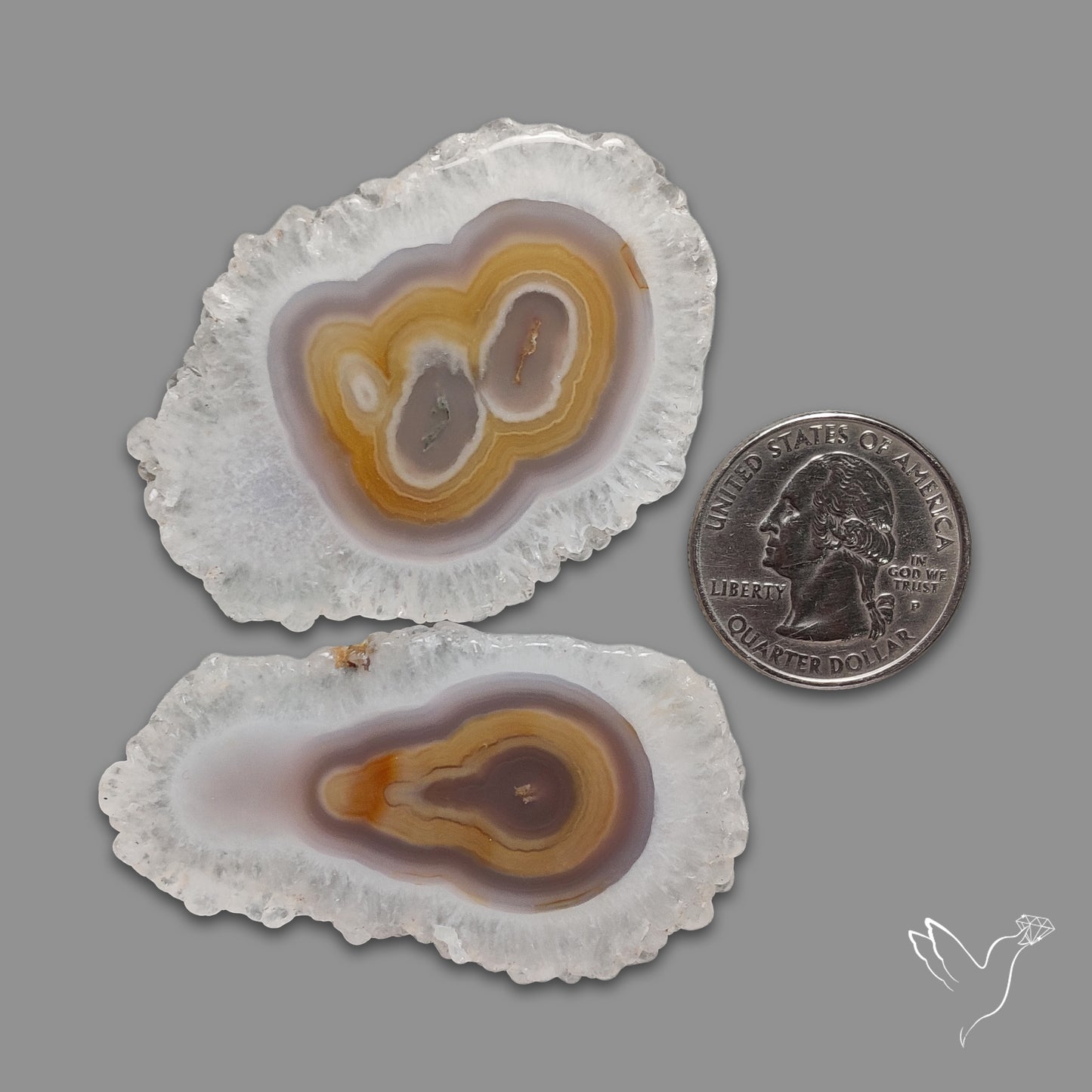 Solar Quartz Slices Lot