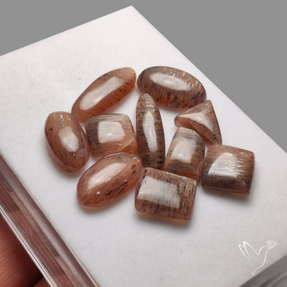 Confetti Black Sunstone Cabochons Lot