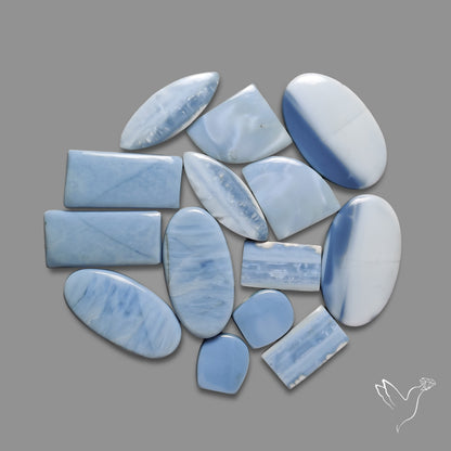 Owyhee Blue Opal Cabochons Lot