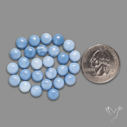 Owyhee Blue Opal Rounds Lot