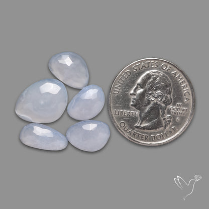 Rose Cut Namibian Blue Chalcedony Lot