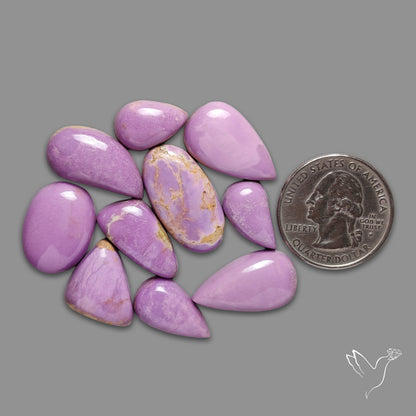 Phosphosiderite Cabochons Lot