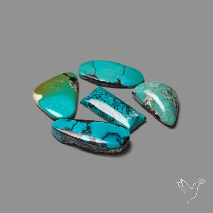 Hubei Turquoise Cabochons Lot