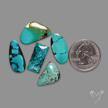 Hubei Turquoise Cabochons Lot