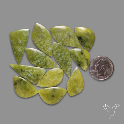 Gemmy Green Serpentine Cabochons Lot
