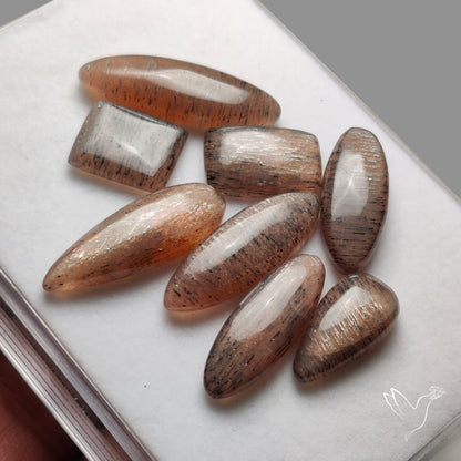 Confetti Black Sunstone Cabochons Lot