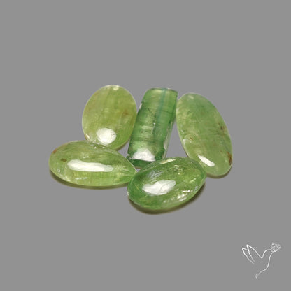 Mint Green Kyanite Cabochons Lot
