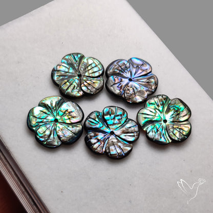 Abalone Shell Flowers Lot
