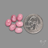 Petalite Cabochons Lot